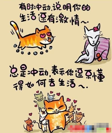 2_79036045_diary.jpg