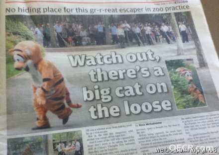 32282730.jpg