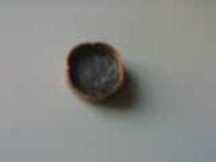 大金蒸镀膜片1