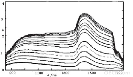 2011101101.jpg