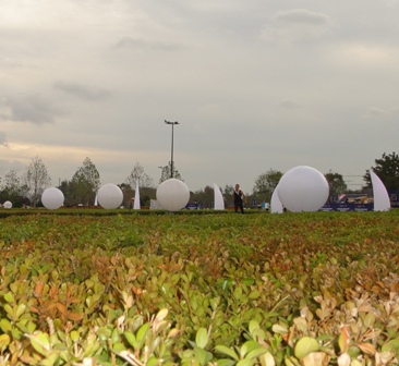 DSC02439.JPG大.JPG