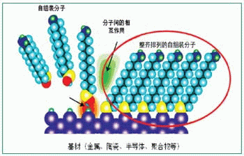 自组装单分子膜.gif
