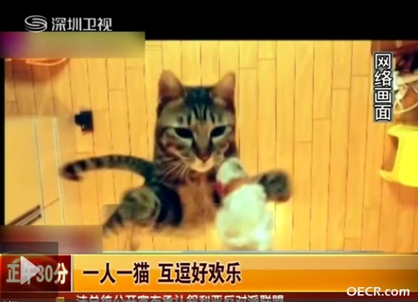 QQ截图20121115080754.jpg