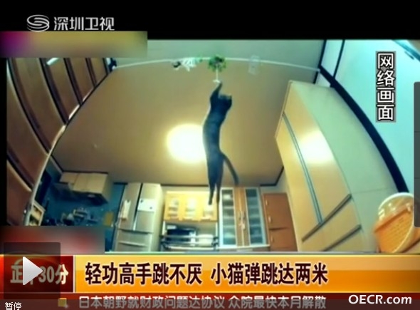 QQ截图20121115080829.jpg