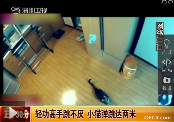 QQ截图20121115080840.jpg