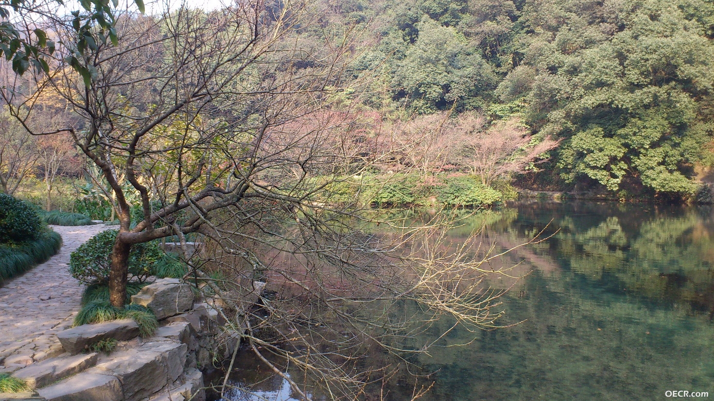 DSC_2693_调整大小.jpg