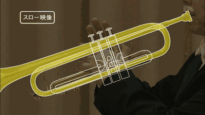 7.gif