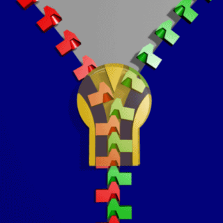 12.gif