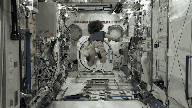 5.gif
