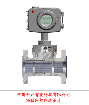 3-常州千户智能科技有限公司-王森-物联网智能流量计.jpg