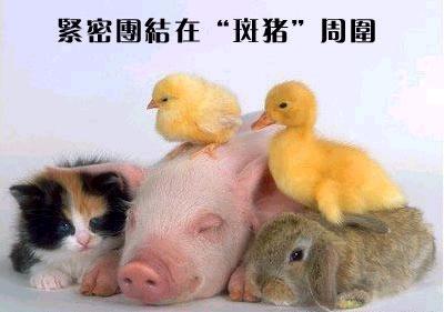 [建议]大家给自己来个上口的“小名”