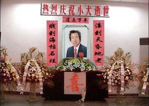 卫星拍摄的日本东京市区