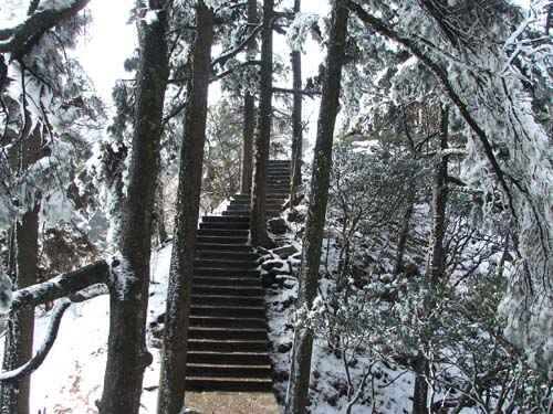 [原创]黄山的雪景