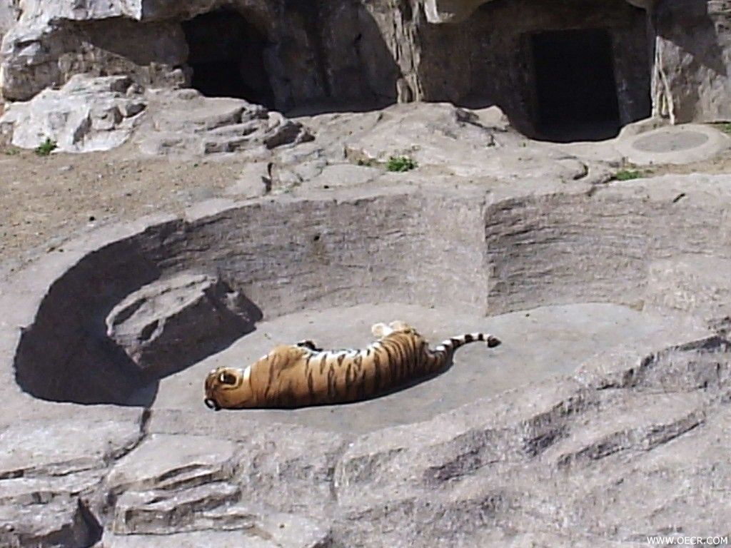 P4222766.JPG