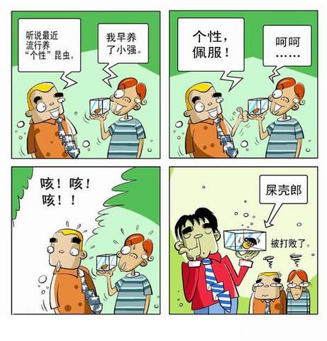 05.jpg