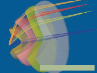 5.gif