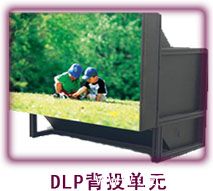 dlp.jpg