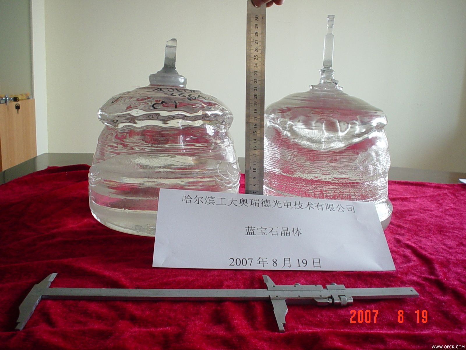 DSC06571.JPG