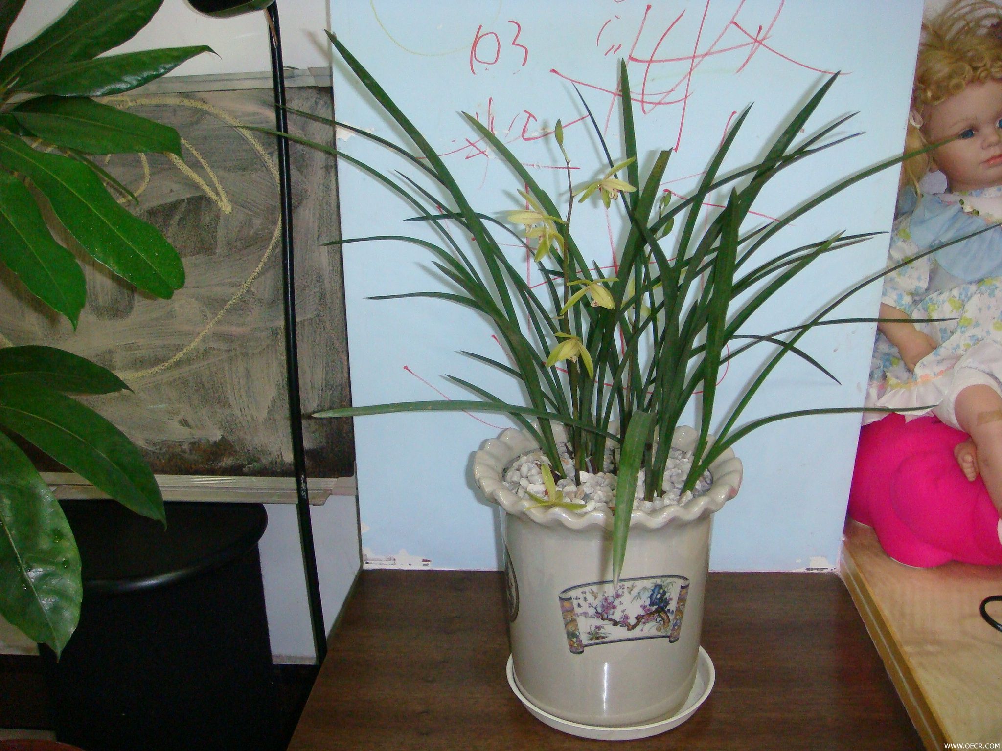 DSC00388.JPG