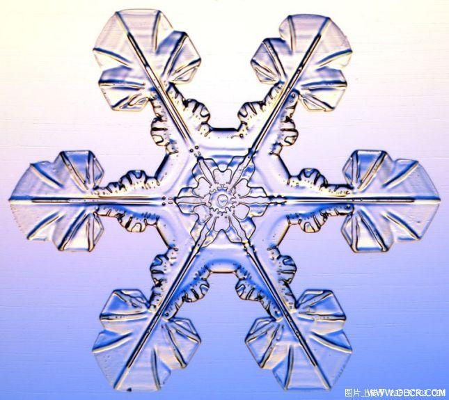 冬天的雪花 (2).jpg