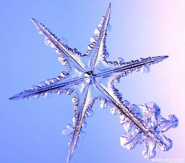 冬天的雪花 (7).jpg