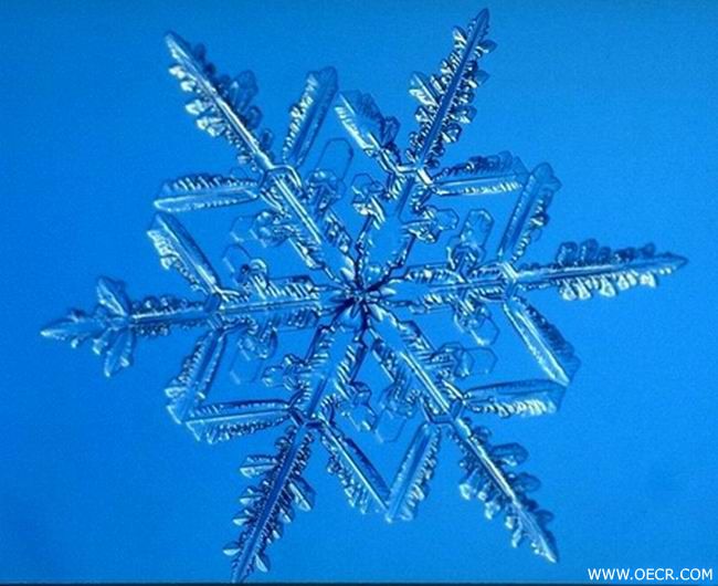 冬天的雪花 (12).jpg