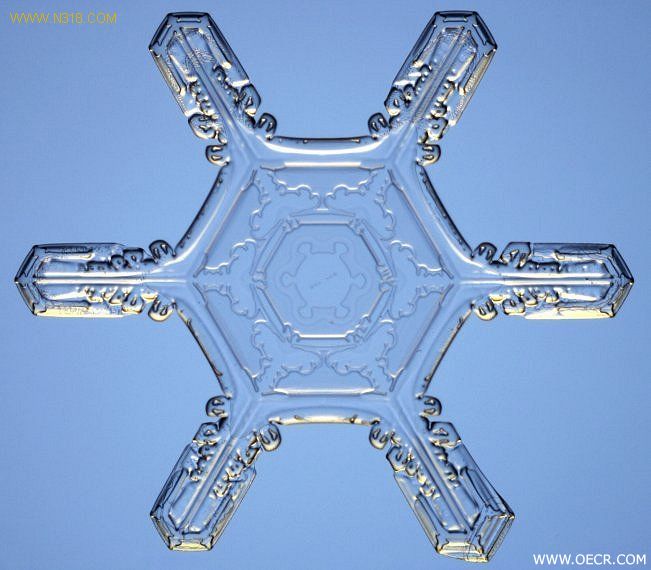 冬天的雪花 (9).jpg