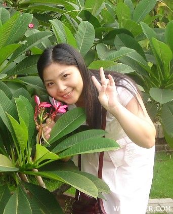 花卉世界.jpg