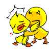 24E448C735F1E28535E3A76D0A39FE21.GIF