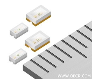 EECOL_1224_NP2.jpg