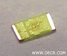 EECOL_1230_NP1.jpg