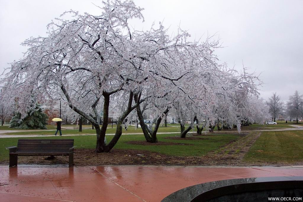 image002.jpg