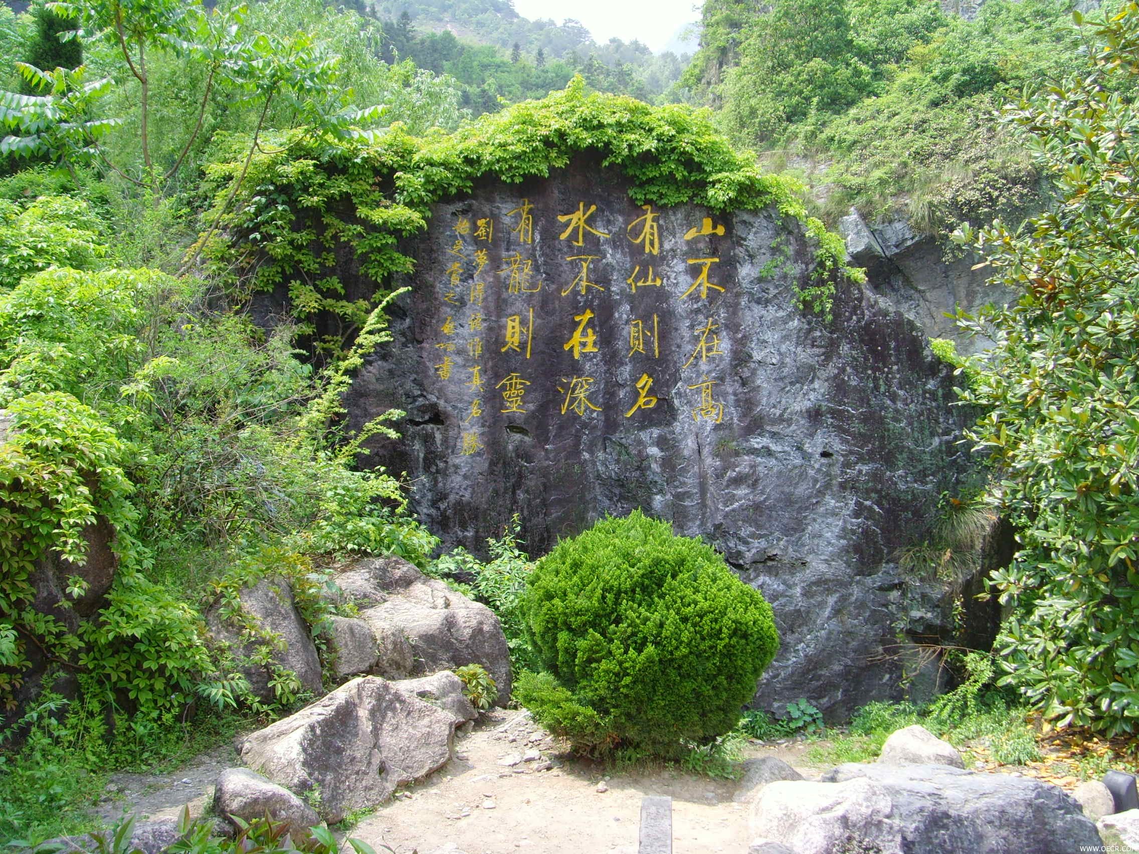 SNV31614.JPG
