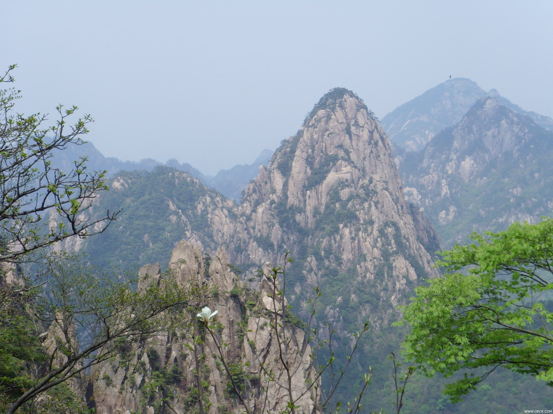 SNV31709.JPG