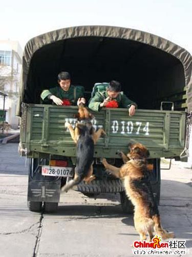 不要离开我.jpg