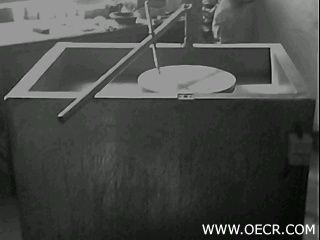 IMG0004A.jpg