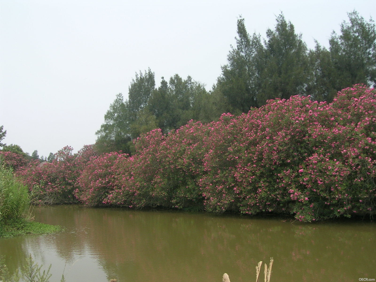 DSCN3628.JPG