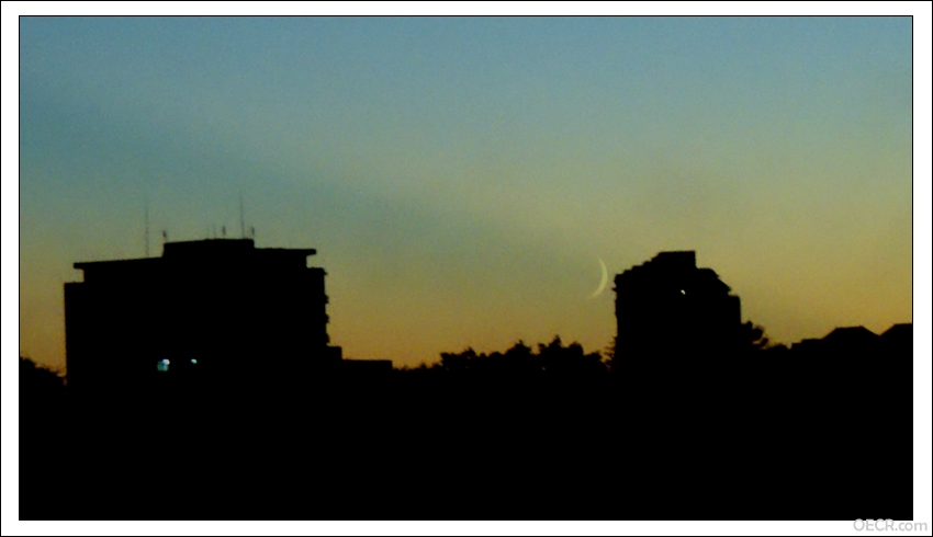 DSC00936-1.jpg