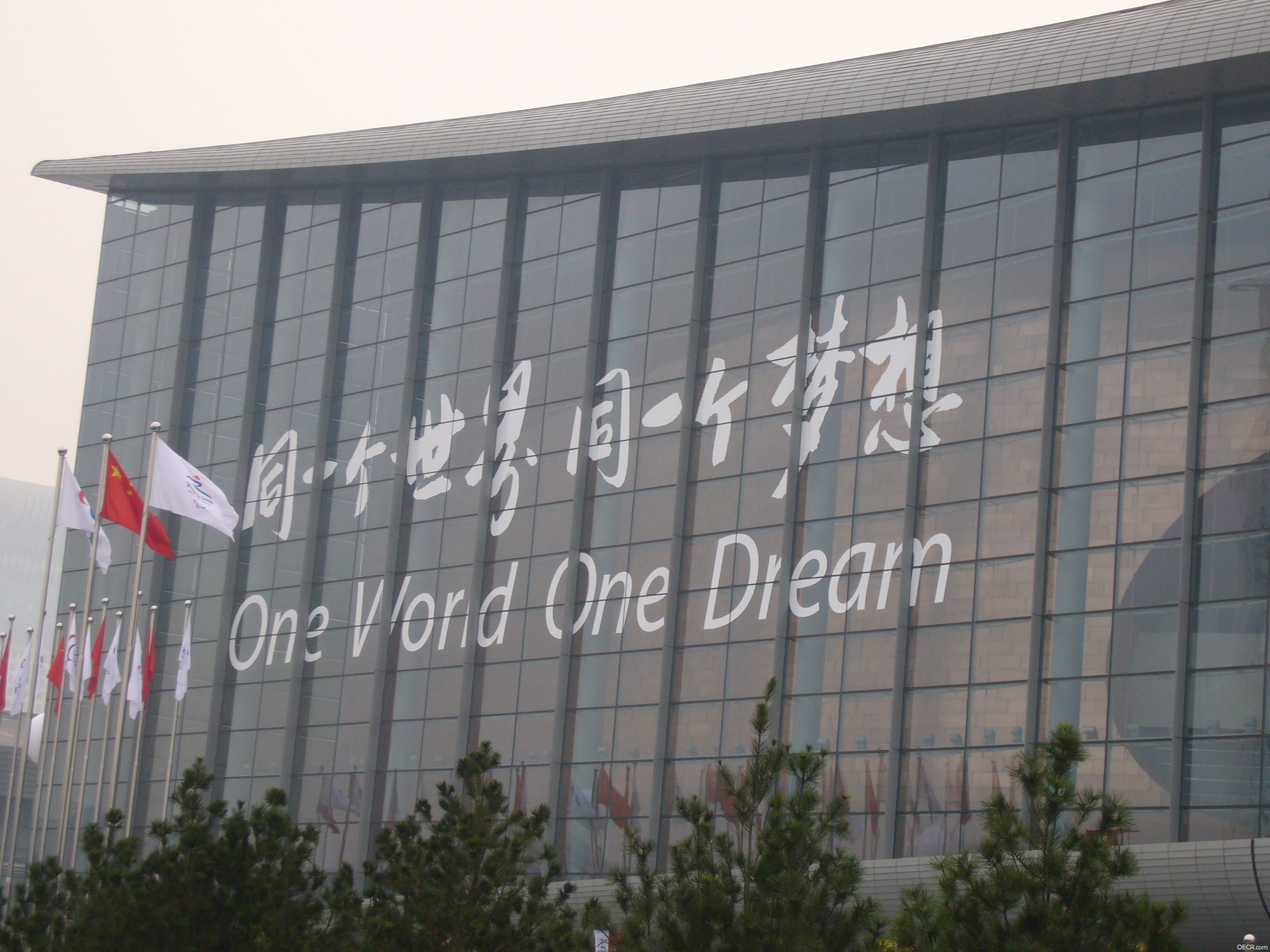P1100856.JPG