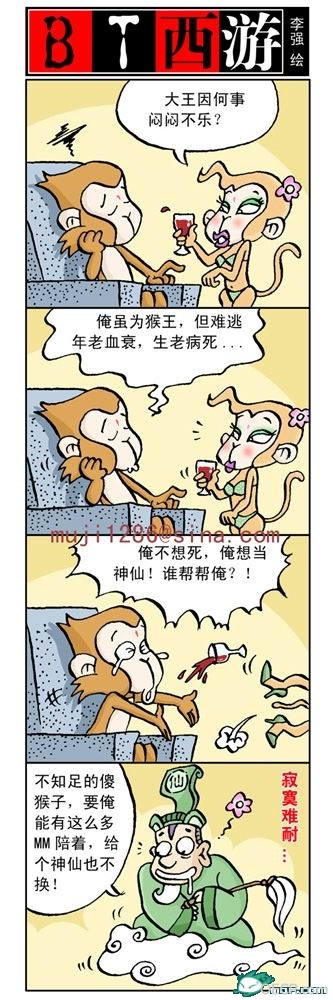 16.jpg