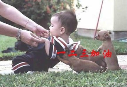 图片31.jpg