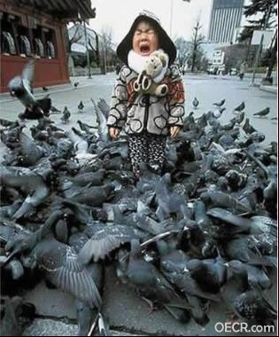 图片24.jpg