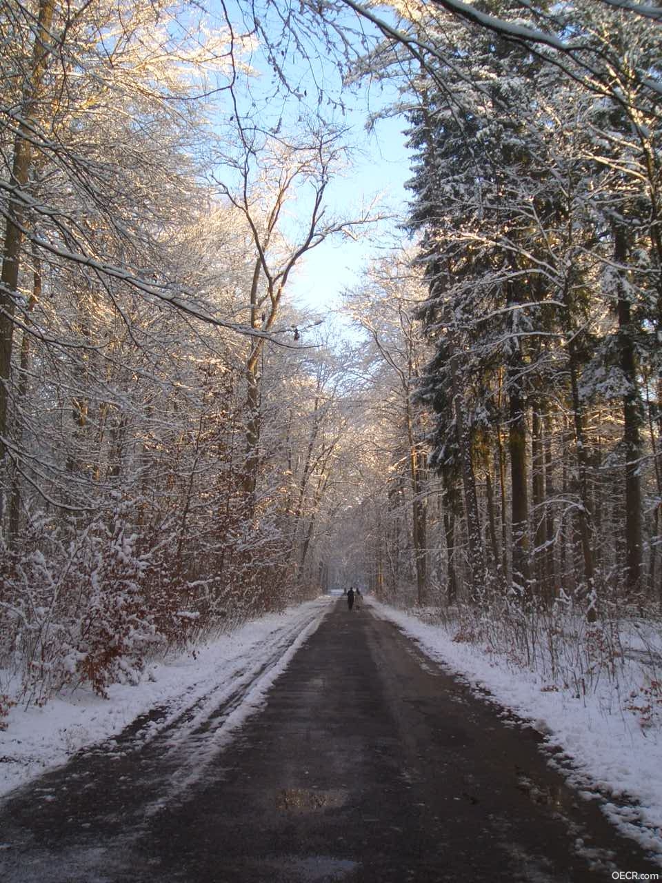 CIMG5673.JPG