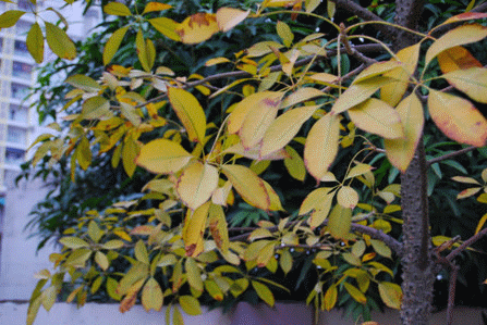2887441_22.gif