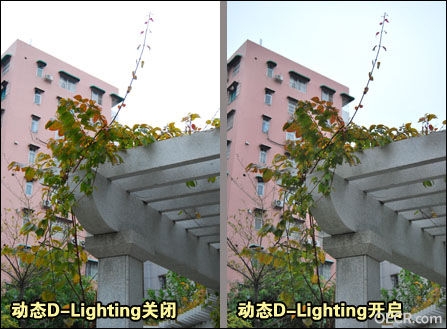 2887441_20.jpg