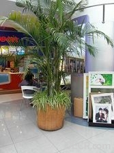 20090112004704f654c.jpg