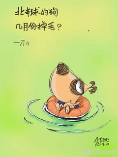刀刀狗.jpg