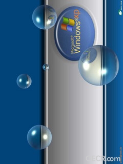 XP.jpg