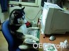 u=4294162980,1671151455&amp;fm=3&amp;gp=41.jpg