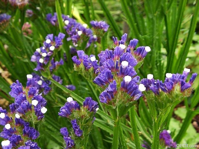 200642760907(2).jpg